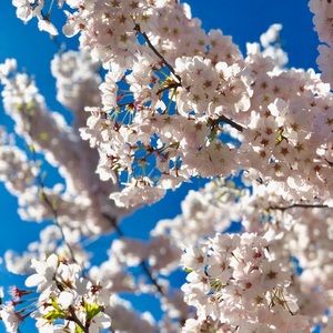 Meet your Posher, Jill